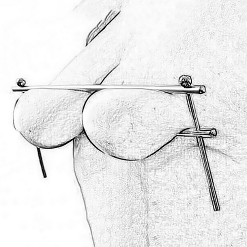 Steel Desire adjustable stainless steel nipple clamp rack